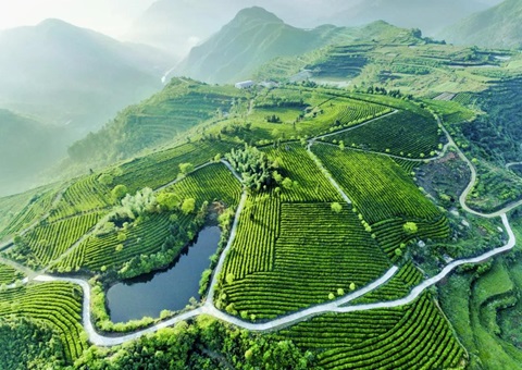 年度投资约15亿元 成都都会圈今年重点推进9个生态环保项目