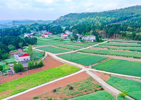 广元市推行“卫星田长”科技助力精准；；じ