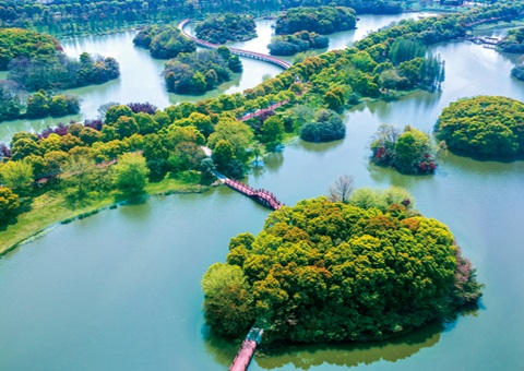 江西省湿地；；；；；；ぢ室汛61.99%