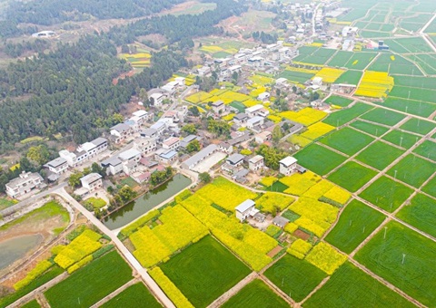 四川省委办公厅、省政府办公厅印发《关于深化农村土地要素市场化刷新的意见》