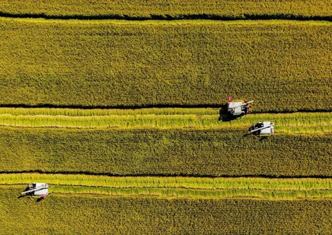 辽宁省耕地地力；；；；；；そ蛱曜汲鎏
