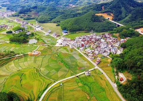 南宁立异“菜单式”服务   数智赋能设施农用地高效备案