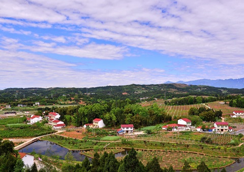 河南：2026年年底前实现墟落地区妄想治理全笼罩